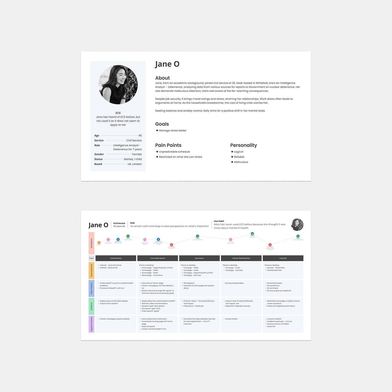 User persona and journey mapping research